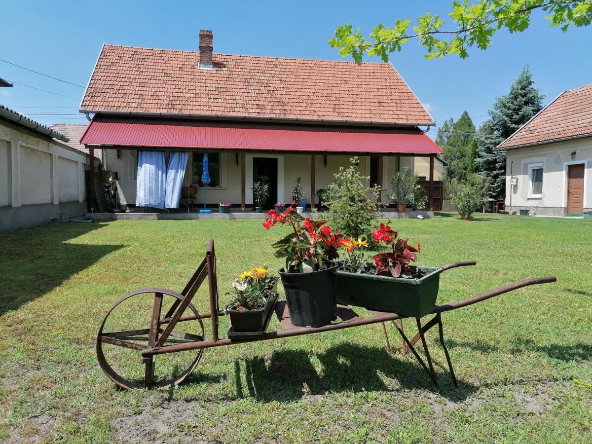 Istvan Vendeghaz Morahalom Exterior photo